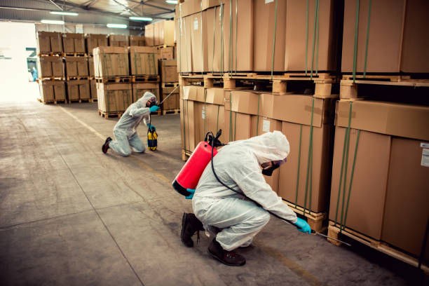 Best Bed Bug Extermination  in Plummer, ID