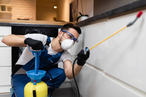 Best Wildlife Control Services  in Plummer, ID