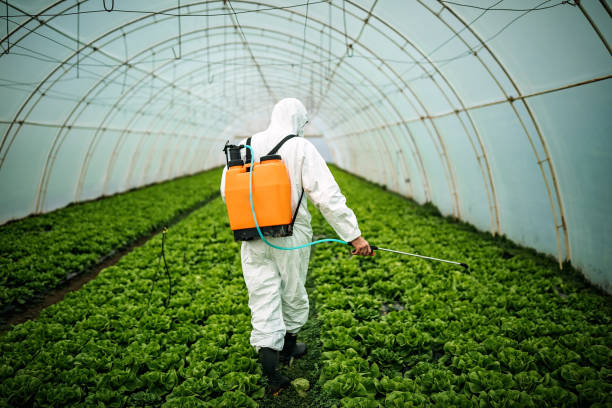 Best Best Pest Control Companies  in Plummer, ID