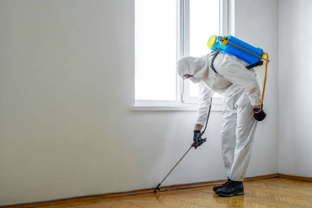 Best Flea Control Services  in Plummer, ID