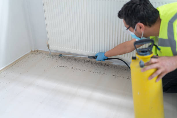 Best Pest Removal Services  in Plummer, ID