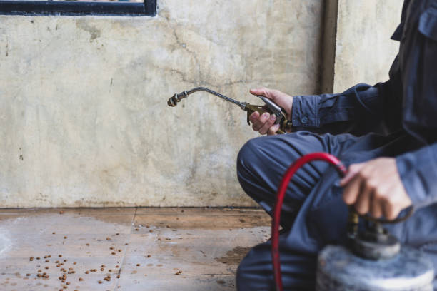 Trusted Plummer, ID Pest Control Experts
